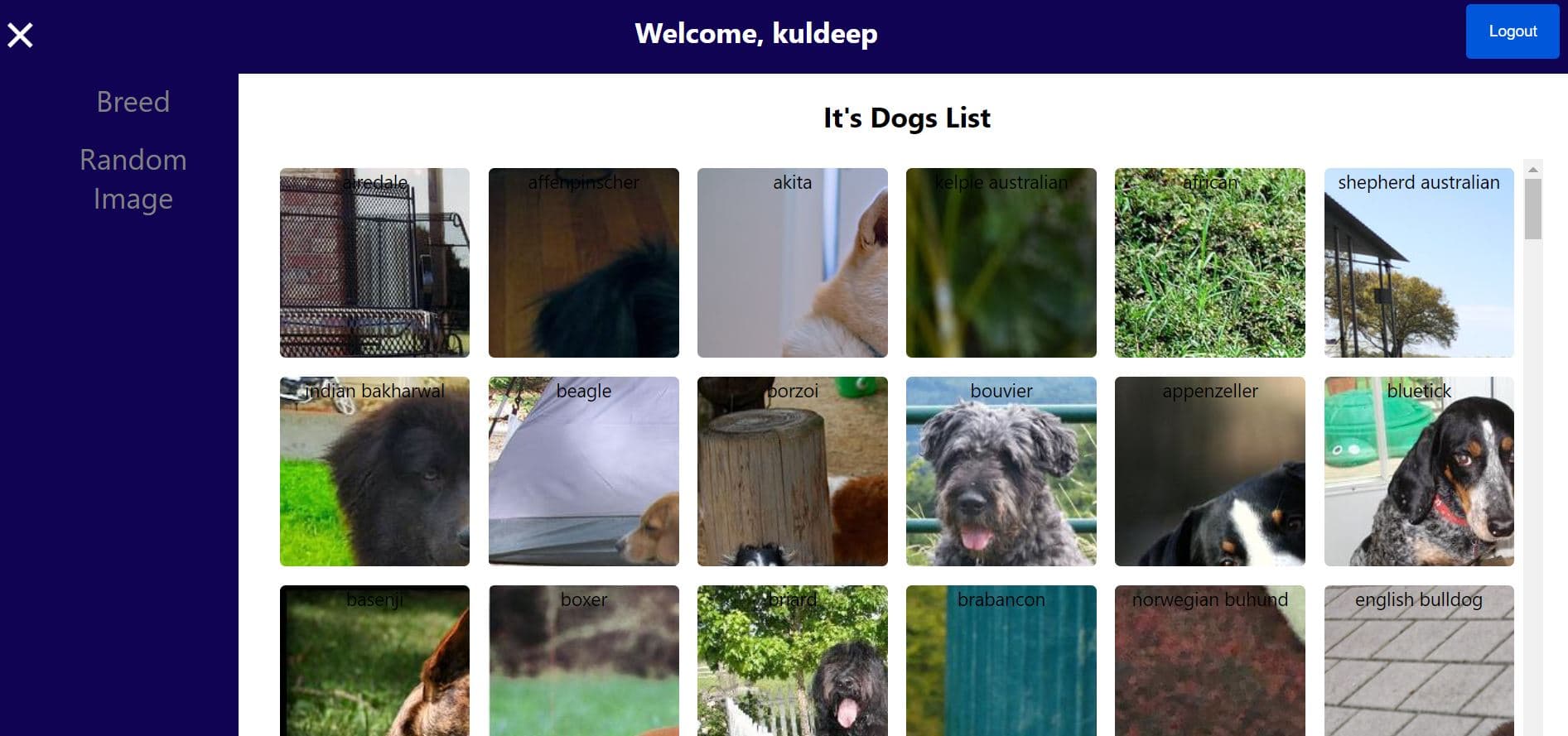 An image of the DOG API project.